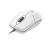 17770 ���� Trust Optical Mouse White (60)