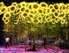 В Париже при помощи света можно управлять фантастическими растениями