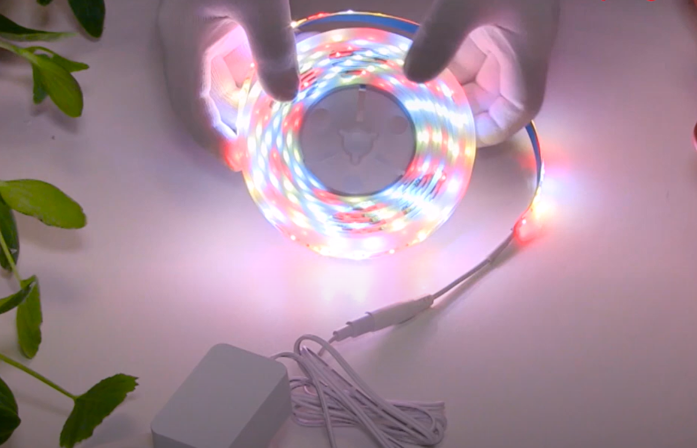 Видеообзор полноспектральной светодиодной фитоленты ЭРА