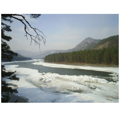 Алтай