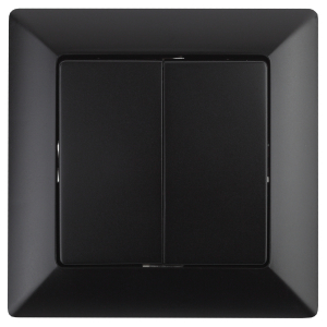 Переключатель Intro Solo 4-107-05 двухклавишный, 10А-250В, IP20, СУ, антрацит