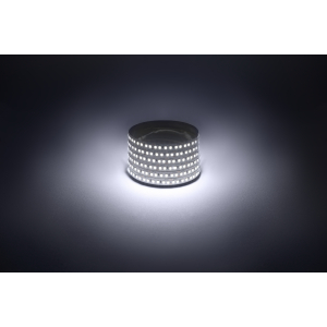 Светодиодная лента ЭРА LS2835-14,4-180-12-6500K-IP20-1 year-5m холодный белый 1 год