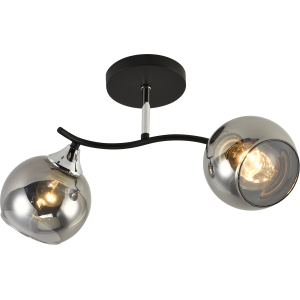 Люстра Rivoli Judy 3159-312 2 х Е27 60 Вт модерн