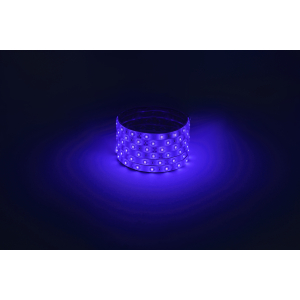 Светодиодная лента ЭРА LS2835-4,8-60-12-B-IP65-1 year-5m синий 1 год