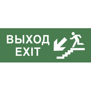 Самоклеящаяся этикетка ЭРА INFO-DBA-013 200х60мм  Выход/лестница вниз/фигура  DBA
