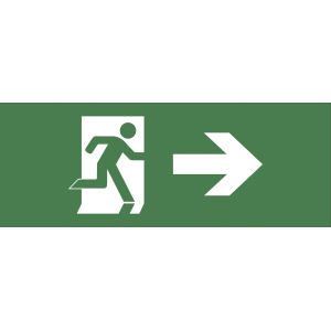 Самоклеящаяся этикетка ЭРА INFO-DBA-002 200х60мм  Фигура/стрелка вправо  DBA