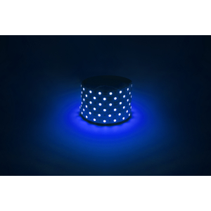 Светодиодная лента ЭРА LS5050-14,4-60-12-B-IP20-1 year-5m синий 1 год