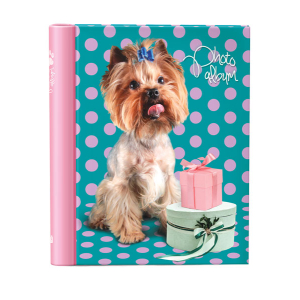 Image Art SA-20P/23*28 серия  262 (12/384)