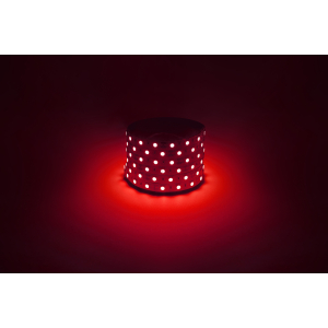 Светодиодная лента ЭРА LS5050-14,4-60-12-R-IP20-1 year-5m красный 1 год