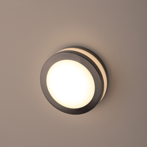 Светильник декоративный настенный ЭРА WL25 под лампу GX53 IP44 хром/белый