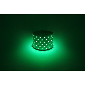 Светодиодная лента ЭРА LS5050-14,4-60-12-G-IP20-1 year-5m зеленый 1 год