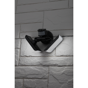 Светильник уличный ЭРА ERAFS020-42 настенный с двумя световыми панелями c выносной солнечной батареей