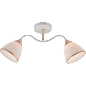 Люстра Rivoli Debbie 3156-312 2 х Е27 60 Вт модерн