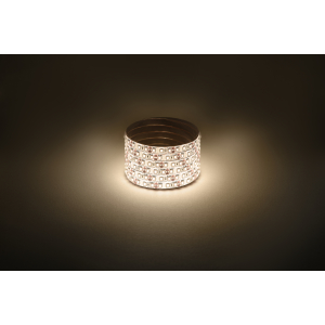 Светодиодная лента ЭРА LS2835-120LED-IP65-WW-eco-5m теплый белый 1 год