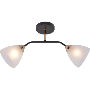 Люстра Rivoli Lorraine 3158-312 2 х Е27 60 Вт модерн