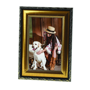 FA Пластик  София  золото 30х40 (16/288)