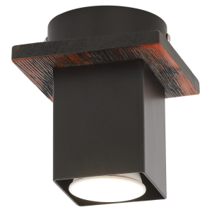 Светильник потолочный Rivoli Luise 3102-201 1 * GU10 50 Вт модерн