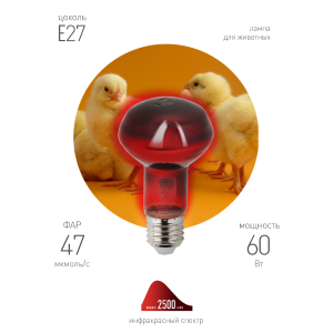 Инфракрасная лампа ЭРА ИКЗК 230-60 R63 Е27 для обогрева животных 60 Вт Е27