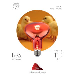 Инфракрасная лампа ЭРА ИКЗК 230-100 R95 E27 кратность 1 шт для обогрева животных и освещения 100 Вт