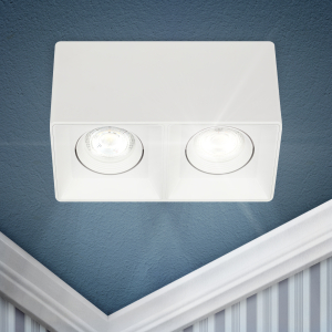 Светильник настенно-потолочный спот ЭРА OL24-2 WH под лампу MR16 GU5.3 поворотный белый