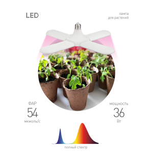Фитолампа для растений светодиодная ЭРА FITO-36W-RB-E27-FOLD 4-х лепестковая красно-синего спектра 36 Вт Е27