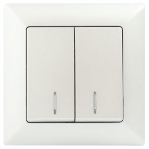 Выключатель Intro Solo 4-105-06 двухклавишный с подсветкой, 10А-250В, IP20, СУ, перламутр