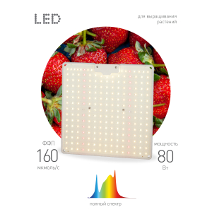 Квантум борд ЭРА FITO-80W-LED-QB Quantum board фитопрожектор полного спектра 80 Вт 3500К