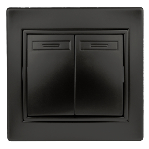 Выключатель Intro Plano 1-104-05 двухклавишный, 10А-250В, IP20, СУ, антрацит