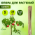 GBS-8-120 GREEN APPLE Поддержка бамбуковая 120см o 8мм 5шт (Набор 5 шт) (20/560)