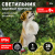 Светильник уличный ЭРА ERASF22-11 на солнечных батареях садовый  Золотистый ретривер  щенок 28 см