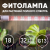 Фитолампа для растений светодиодная ЭРА FITO-18W-Ra90-Т8-G13-NL полного спектра 18 Вт Т8 G13