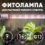 Фитолампа для растений светодиодная ЭРА FITO-9W-Ra90-Т8-G13-NL полного спектра 9 Вт Т8 G13