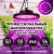 Фитопрожектор для растений светодиодный ЭРА FITO-50W-RB-LED-UFO красно-синего спектра 50 Вт IP65