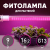 Фитолампа для растений светодиодная ЭРА FITO-9W-RB-Т8-G13-NL и мясных прилавков 9 Вт Т8 G13 красно-синего спектра