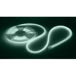 Лента светодиодная термостойкая для бани ЭРА LS2835-9,6-120-24-6500K-IP68-3 year-5m (холодный бел.)