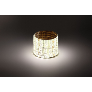 ЭРА Лента светодиодная LS2835-4,8-60-24-65-4000К-5m (50/800)