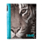 Image Art SA-10P/23*28 серия  265 (12/576)