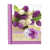 Image Art SA-10P/23*28 серия  224 (12/576)