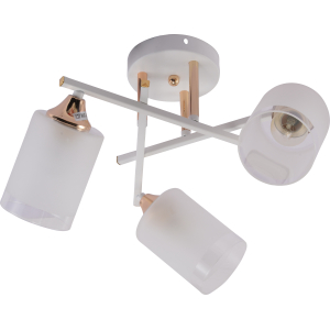 Люстра Rivoli Tammy 3162-303 3 х Е27 60 Вт модерн