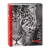 Image Art 263 IA -200PP (12/480)