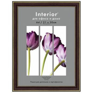 Фоторамка Interior Office 2 серия 288/ 30х40 карельская берёза пластиковая (5/15)