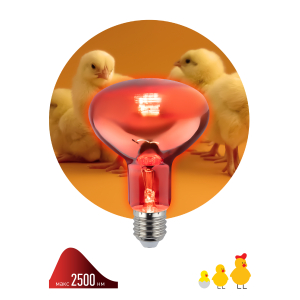 Инфракрасная лампа ЭРА ИКЗК 230-100 R95 E27 кратность 1 шт для обогрева животных и освещения 100 Вт
