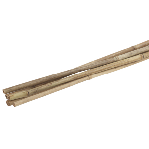 GBS-10-150 GREEN APPLE Поддержка бамбуковая 150см o 10мм набор 5шт (20/480)