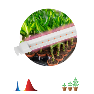 Светильник для растений, фитолампа светодиодная линейная ЭРА FITO-10W-Т5-RB-Slim красно-синего спектра 10 Вт Т5