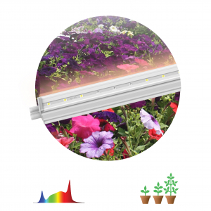 Светильник для растений, фитолампа светодиодная линейная ЭРА FITO-18W-T5-Ra90 полного спектра 18 Вт Т5