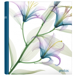 Innova Q6708443 Фотоальбом в ассортименте (3 дизайна) Цветы новая серия  100 страниц 29*32, под угол