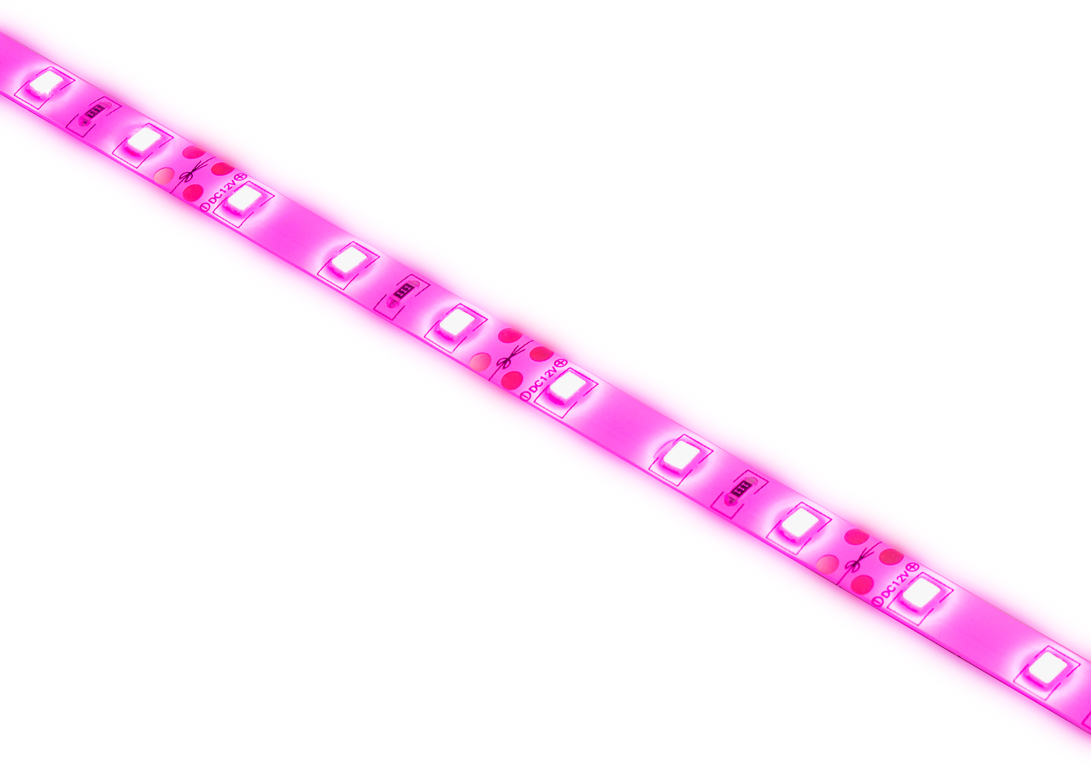 Где Можно В Москве Купить Фитоленту Оптом