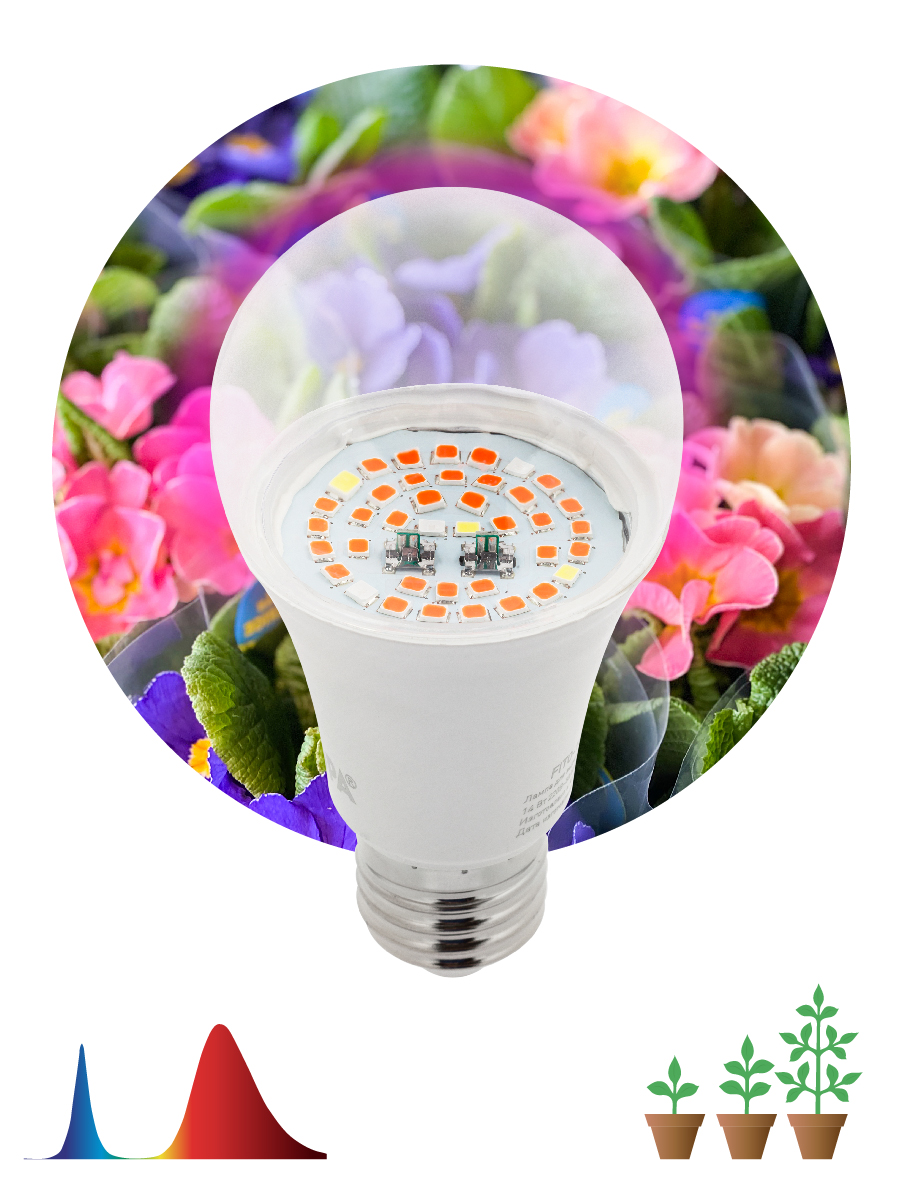 Фитолампа для растений светодиодная ЭРА FITO-12W-RB-E27 красно-синего ...