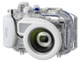 Подводная съемка на примере фотоаппарата Panasonic Lumix DMC-FX35 с боксом DMW-MCFX35E