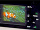 Nauticam начинает продажи подводного бокса для камеры Panasonic Lumix DMC-LX5